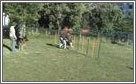 Cic.Benfica - Agility